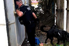 Dan-and-K9-Security-House-CUT-300DPI