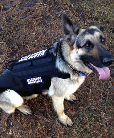 Walker Security